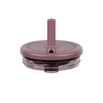 Era Replacement Lid 20oz | Rose Taupe - Clean Convenience